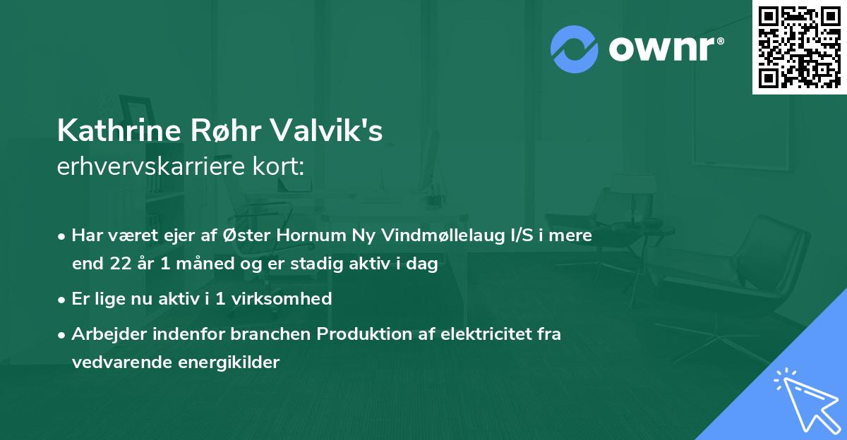 Kathrine Røhr Valvik's erhvervskarriere kort