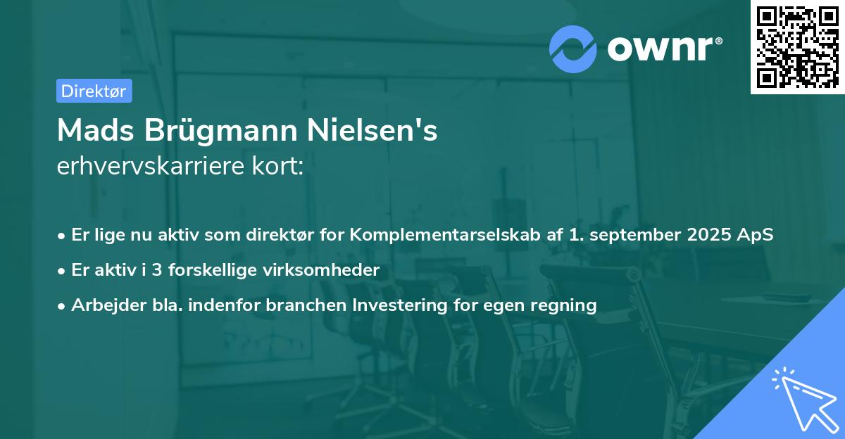 Mads Brügmann Nielsen's erhvervskarriere kort