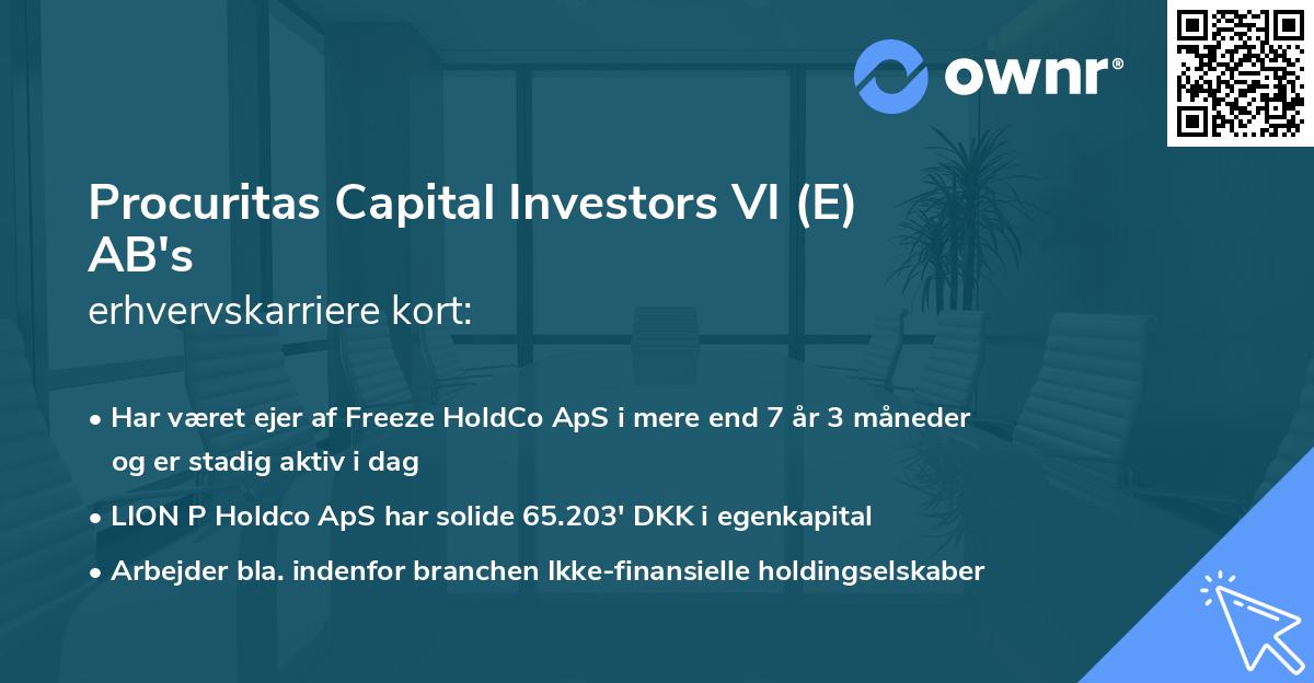 Procuritas Capital Investors VI (E) AB's erhvervskarriere kort