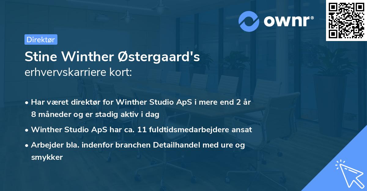 Stine Winther Østergaard's erhvervskarriere kort