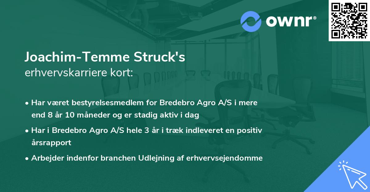 Joachim-Temme Struck's erhvervskarriere kort
