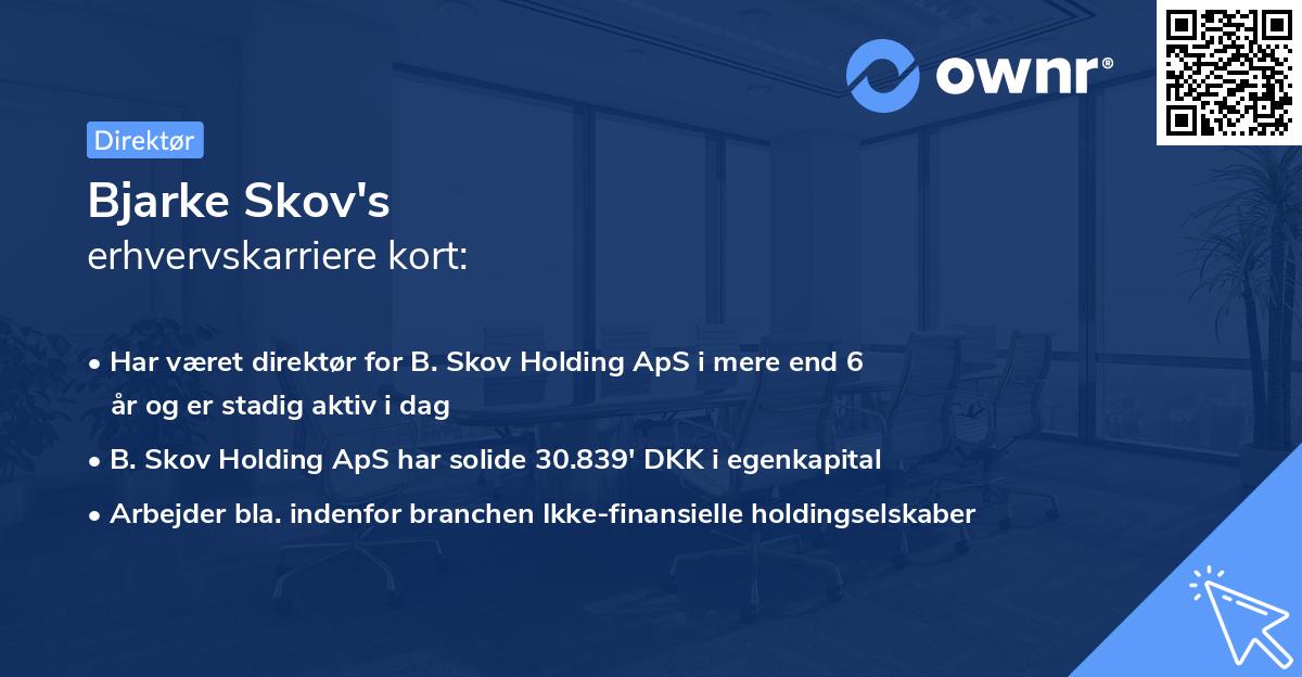 Bjarke Skov's erhvervskarriere kort