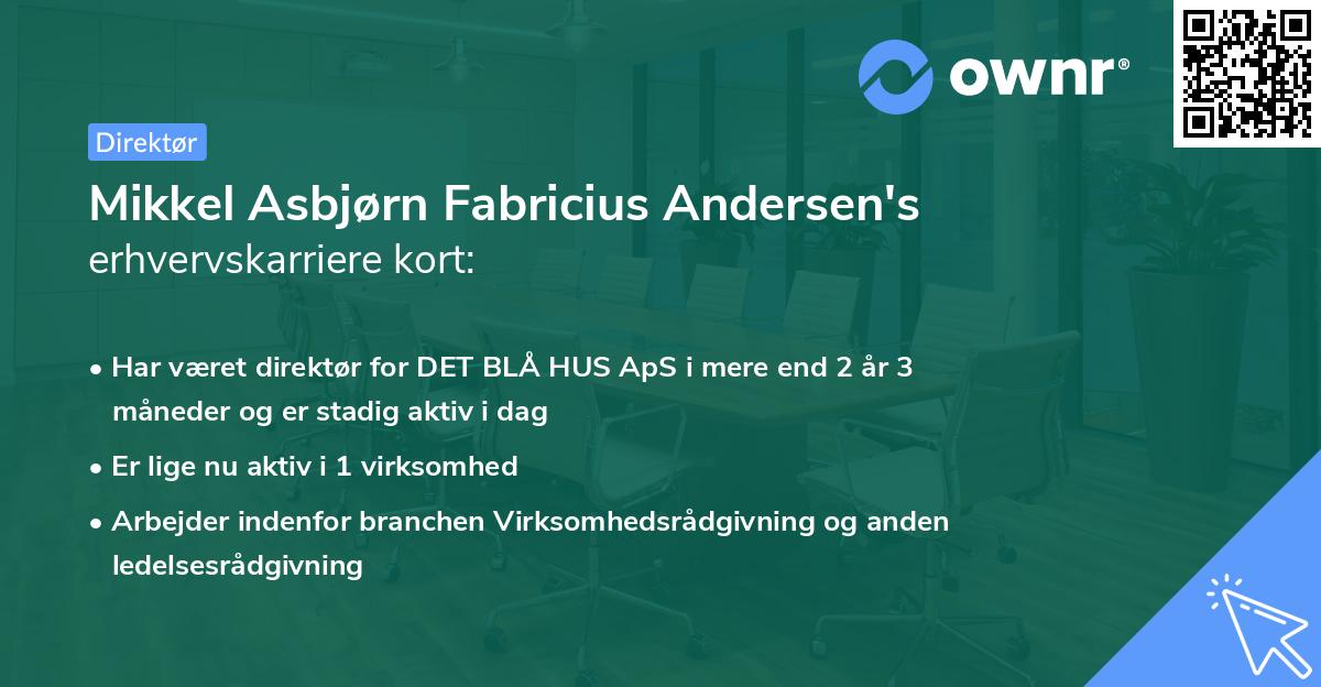 Mikkel Asbjørn Fabricius Andersen's erhvervskarriere kort