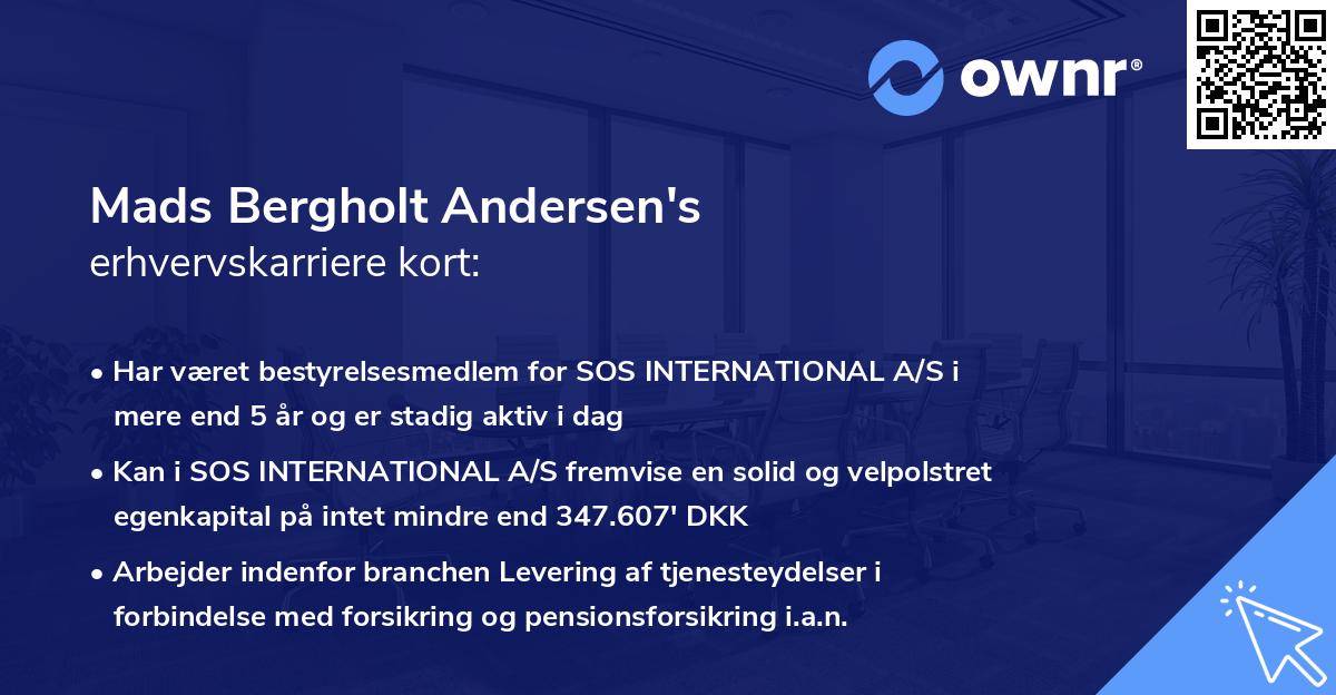 Mads Bergholt Andersen's erhvervskarriere kort