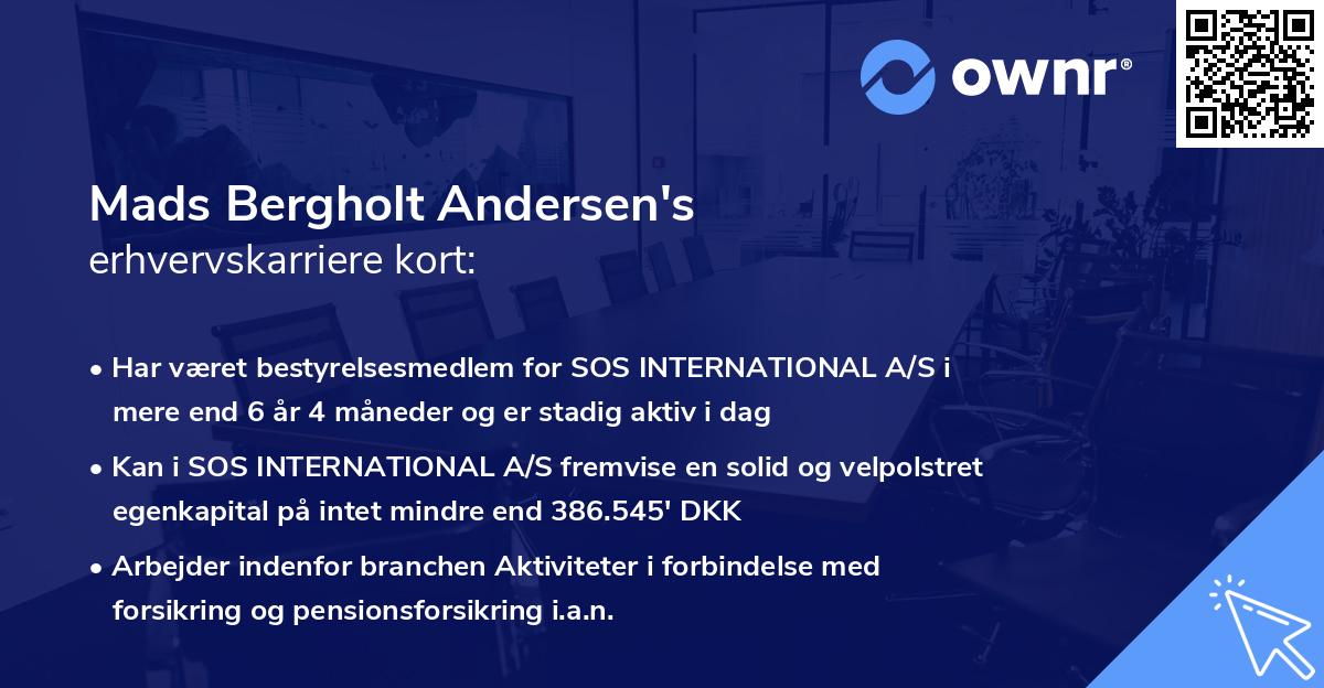 Mads Bergholt Andersen's erhvervskarriere kort
