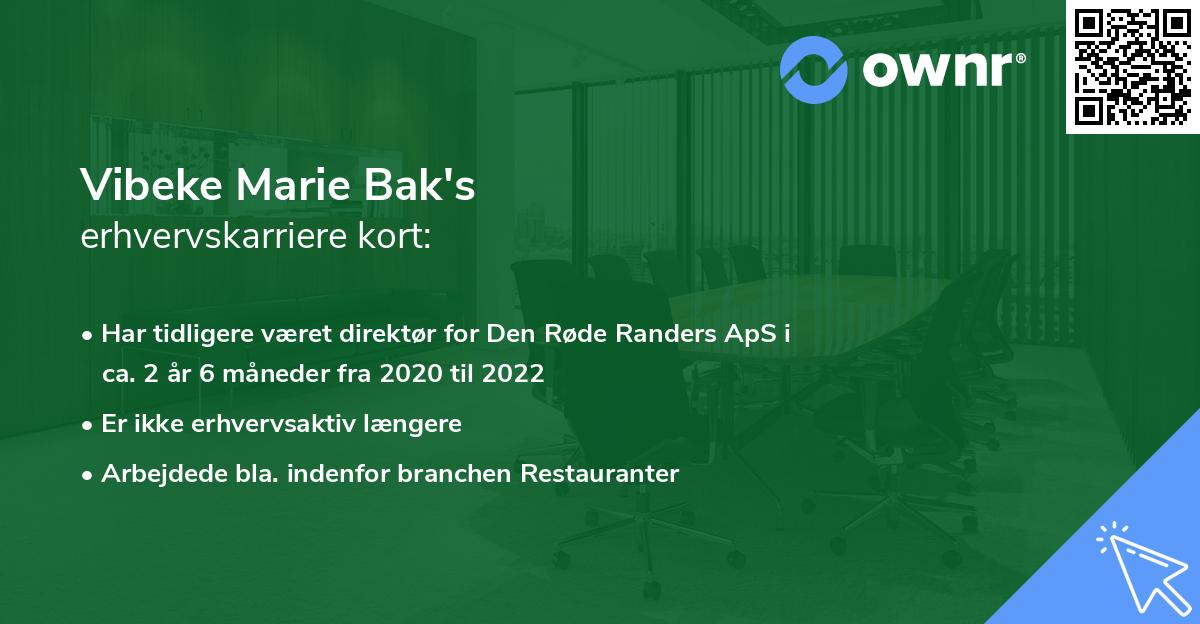 Vibeke Marie Bak's erhvervskarriere kort
