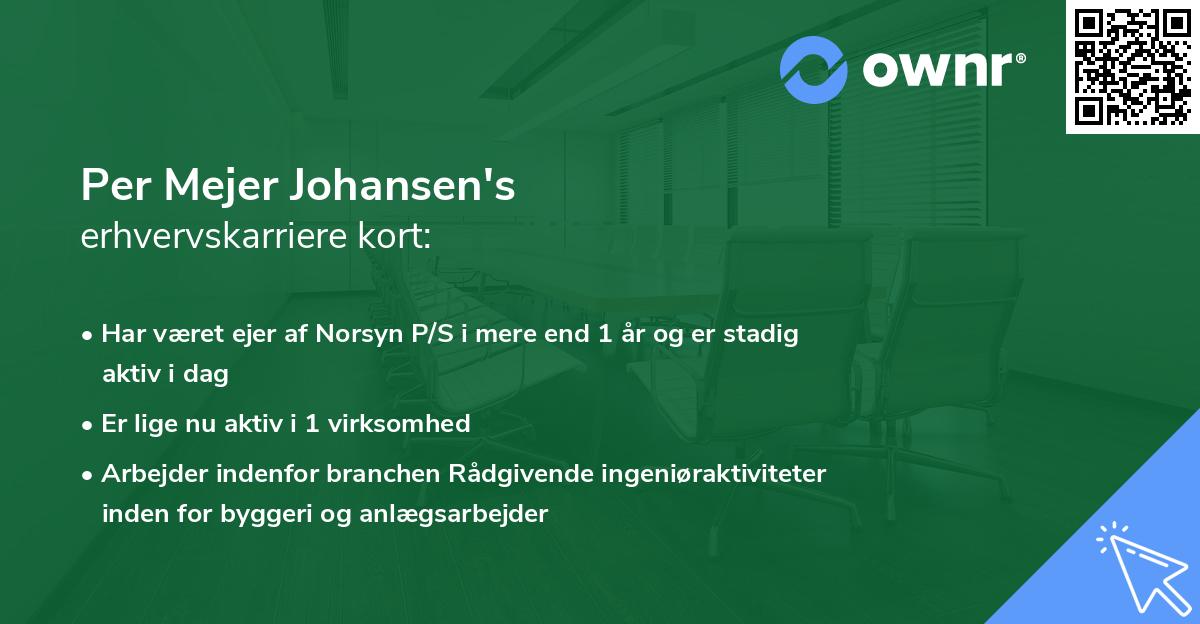 Per Mejer Johansen's erhvervskarriere kort