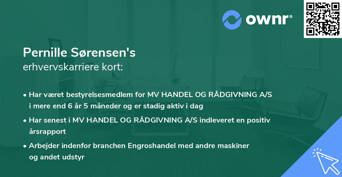 Pernille Sørensen's erhvervskarriere kort