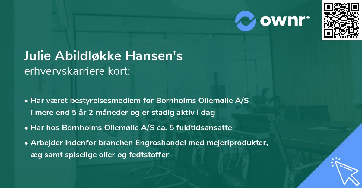 Julie Abildløkke Hansen's erhvervskarriere kort