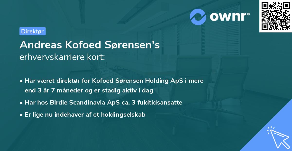 Andreas Kofoed Sørensen's erhvervskarriere kort