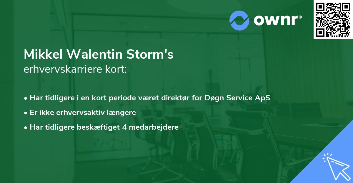 Mikkel Walentin Storm's erhvervskarriere kort