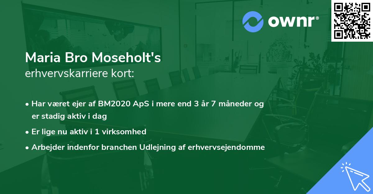 Maria Bro Moseholt's erhvervskarriere kort