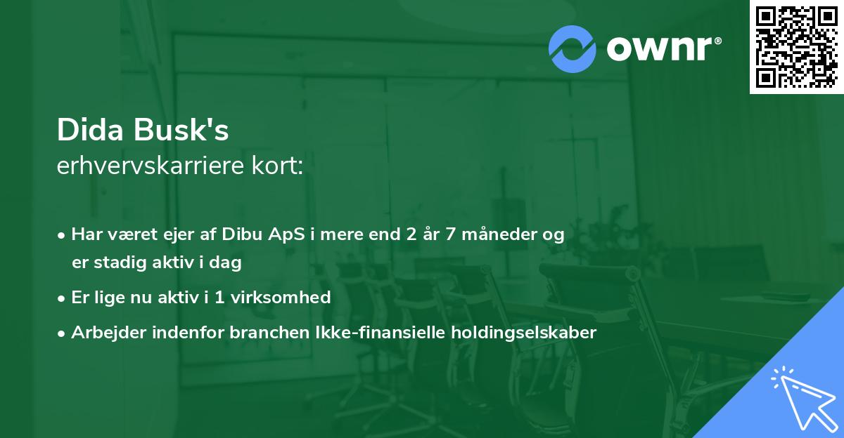 Dida Busk's erhvervskarriere kort