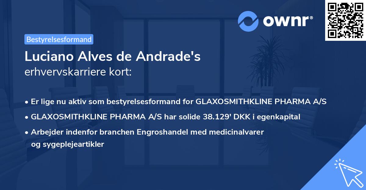 Luciano Alves de Andrade's erhvervskarriere kort