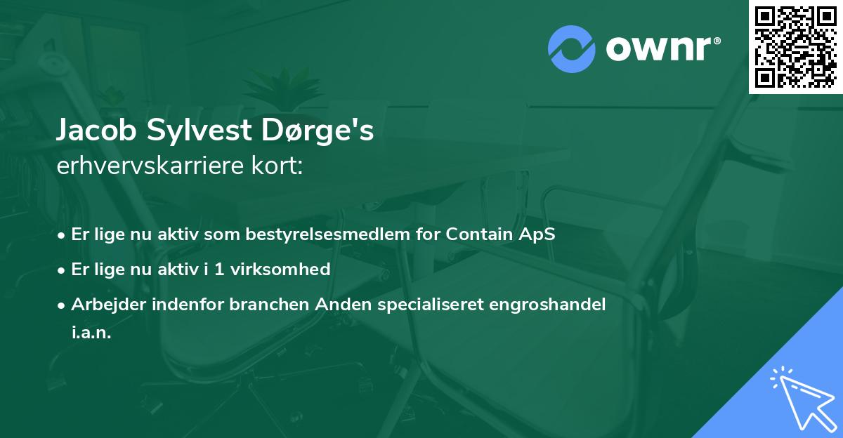 Jacob Sylvest Dørge's erhvervskarriere kort