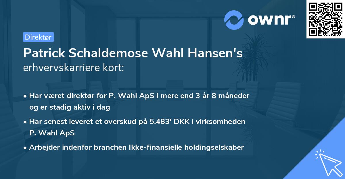 Patrick Schaldemose Wahl Hansen's erhvervskarriere kort
