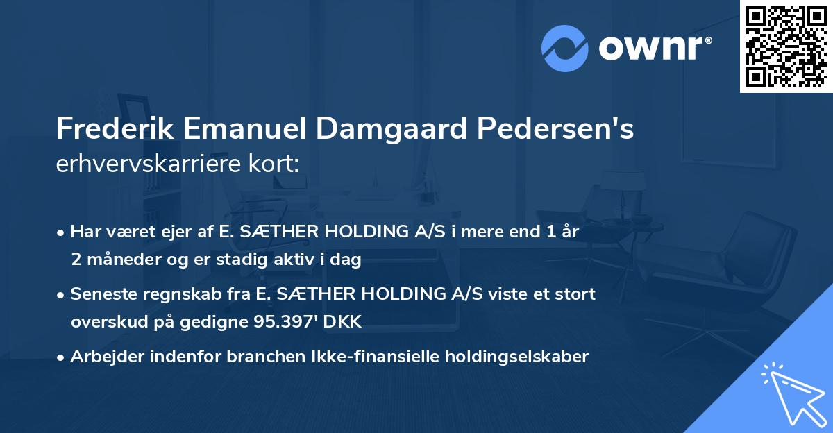 Frederik Emanuel Damgaard Pedersen's erhvervskarriere kort