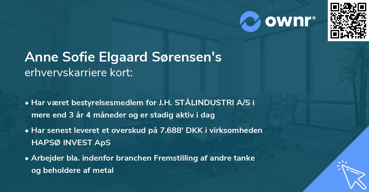Anne Sofie Elgaard Sørensen's erhvervskarriere kort