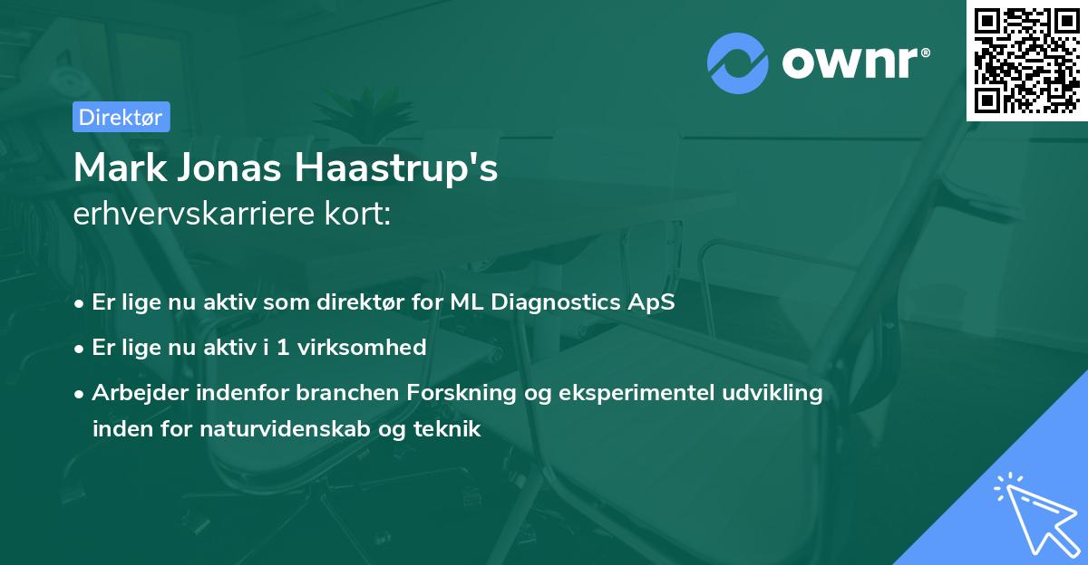Mark Jonas Haastrup's erhvervskarriere kort