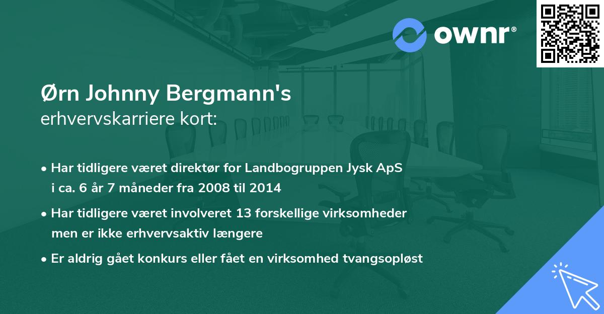 Ørn Johnny Bergmann's erhvervskarriere kort