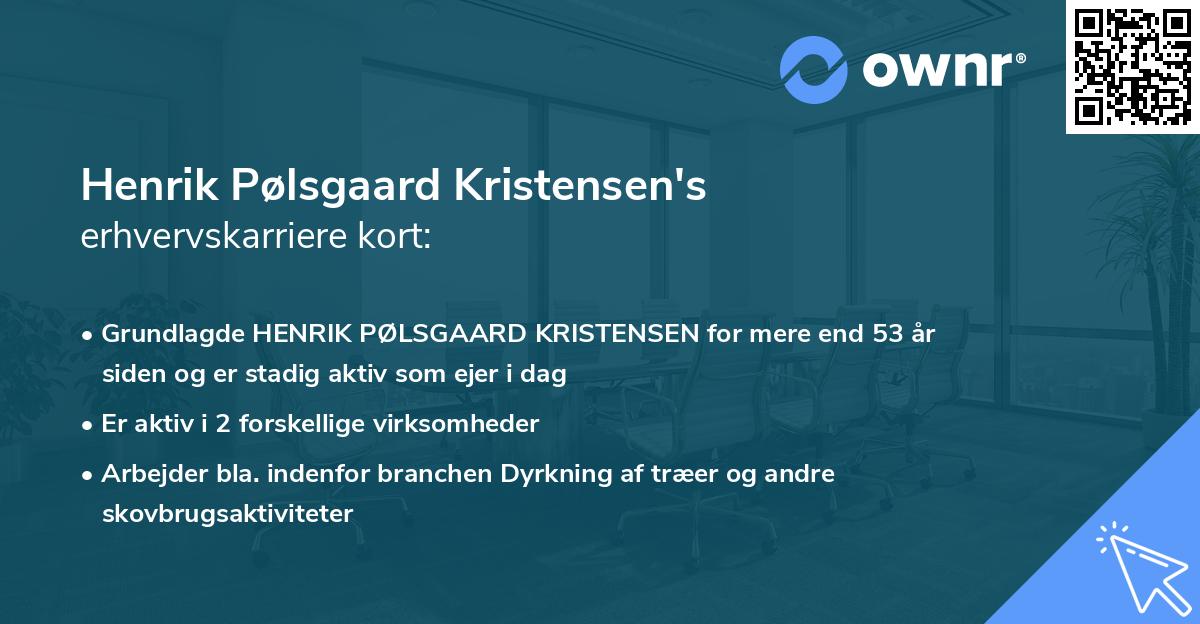 Henrik Pølsgaard Kristensen's erhvervskarriere kort