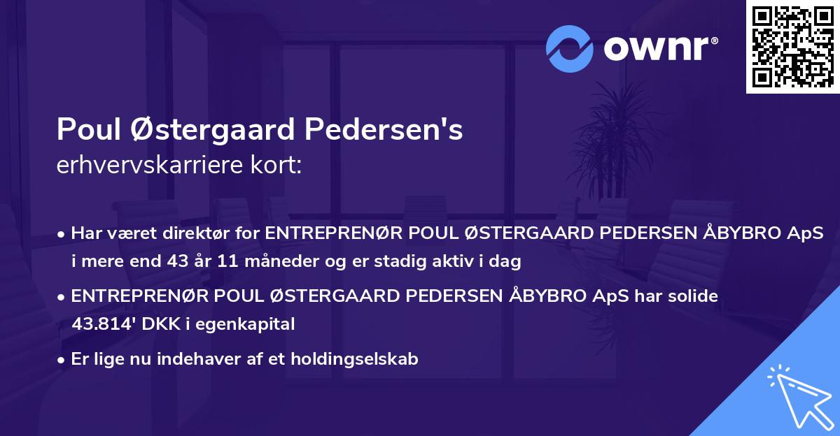 Poul Østergaard Pedersen's erhvervskarriere kort