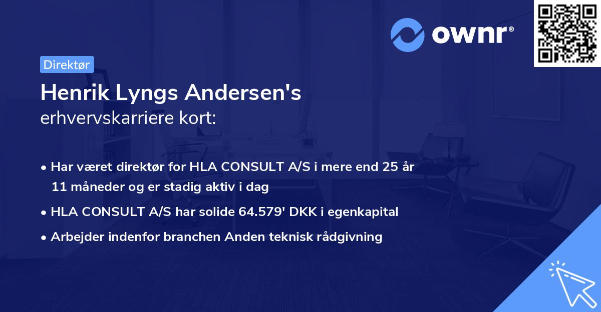Henrik Lyngs Andersen's erhvervskarriere kort