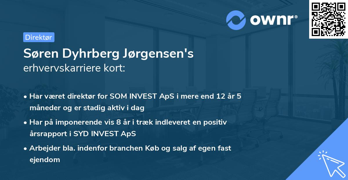 Søren Dyhrberg Jørgensen's erhvervskarriere kort