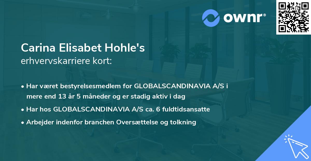 Carina Elisabet Hohle's erhvervskarriere kort