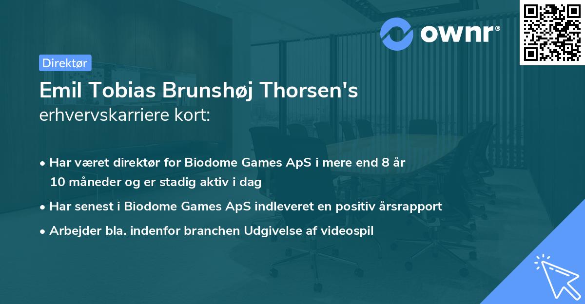 Emil Tobias Brunshøj Thorsen's erhvervskarriere kort