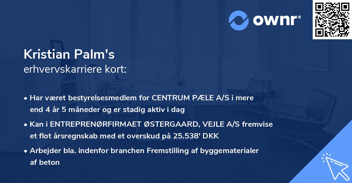 Kristian Palm's erhvervskarriere kort