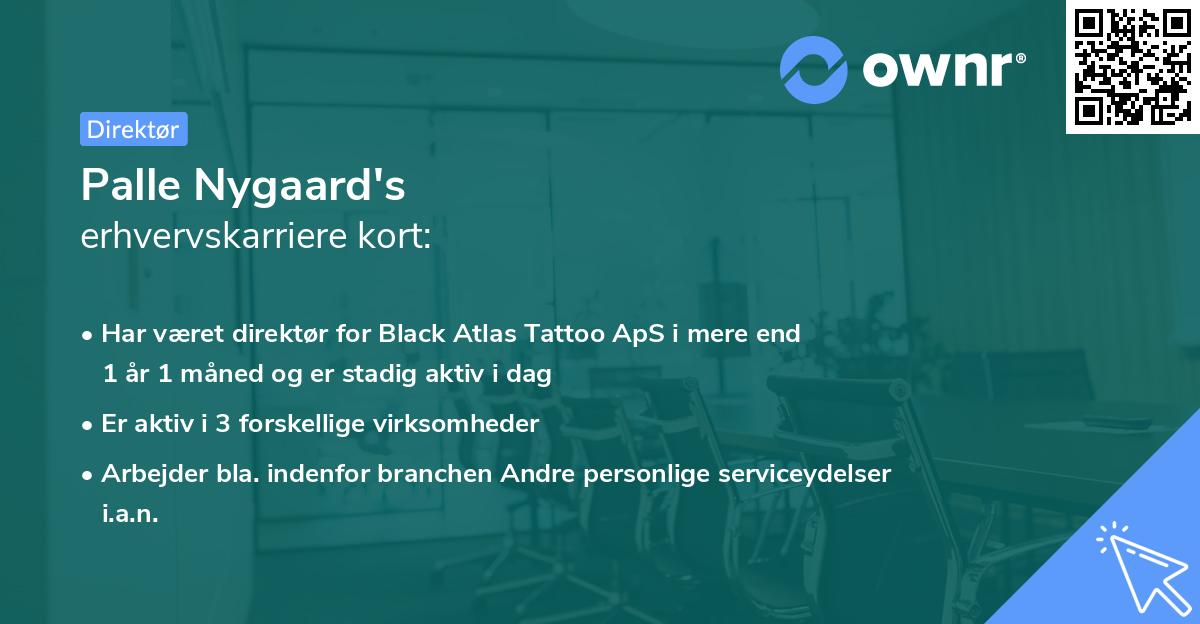 Palle Nygaard's erhvervskarriere kort