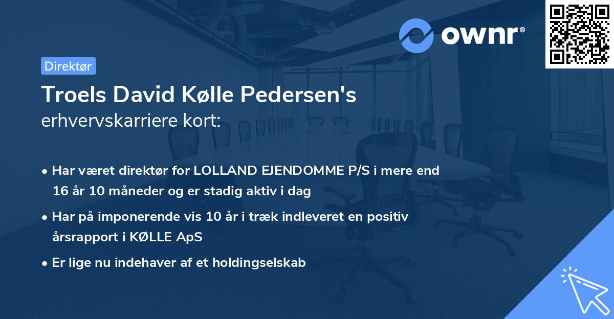 Troels David Kølle Pedersen's erhvervskarriere kort