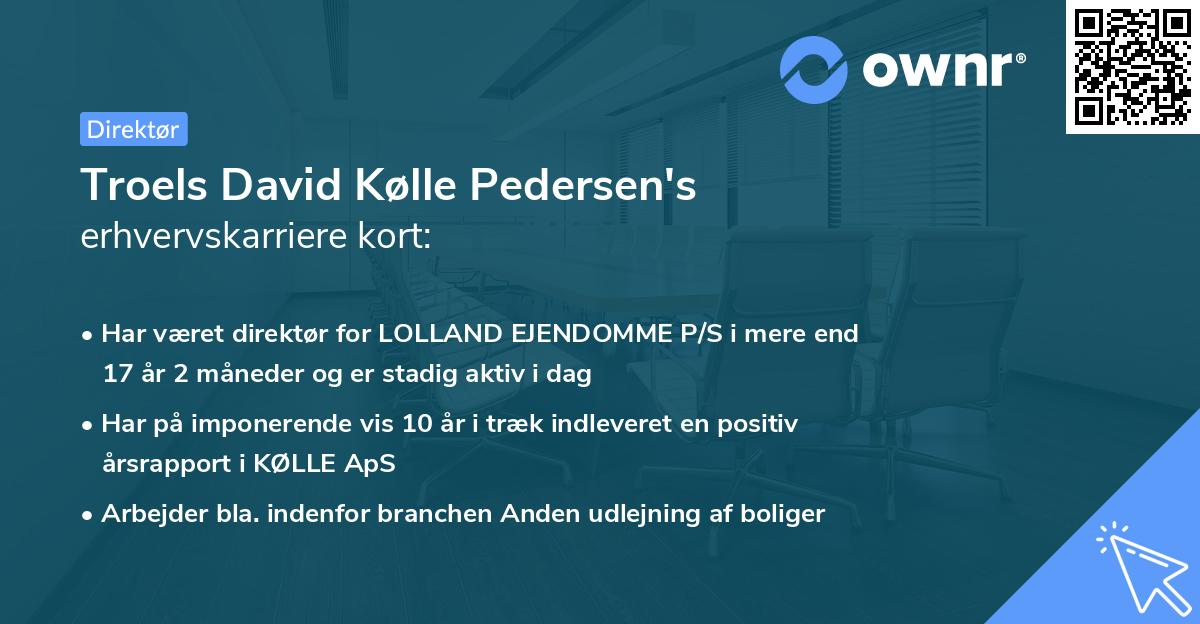 Troels David Kølle Pedersen's erhvervskarriere kort