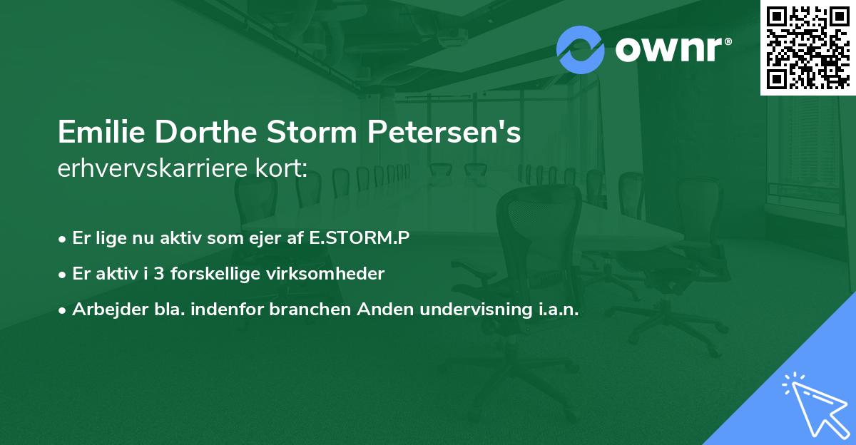 Emilie Dorthe Storm Petersen's erhvervskarriere kort