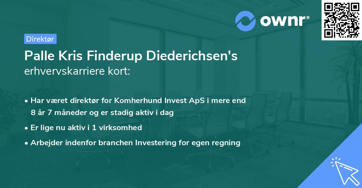 Palle Kris Finderup Diederichsen's erhvervskarriere kort