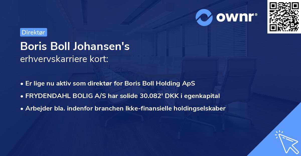 Boris Boll Johansen's erhvervskarriere kort
