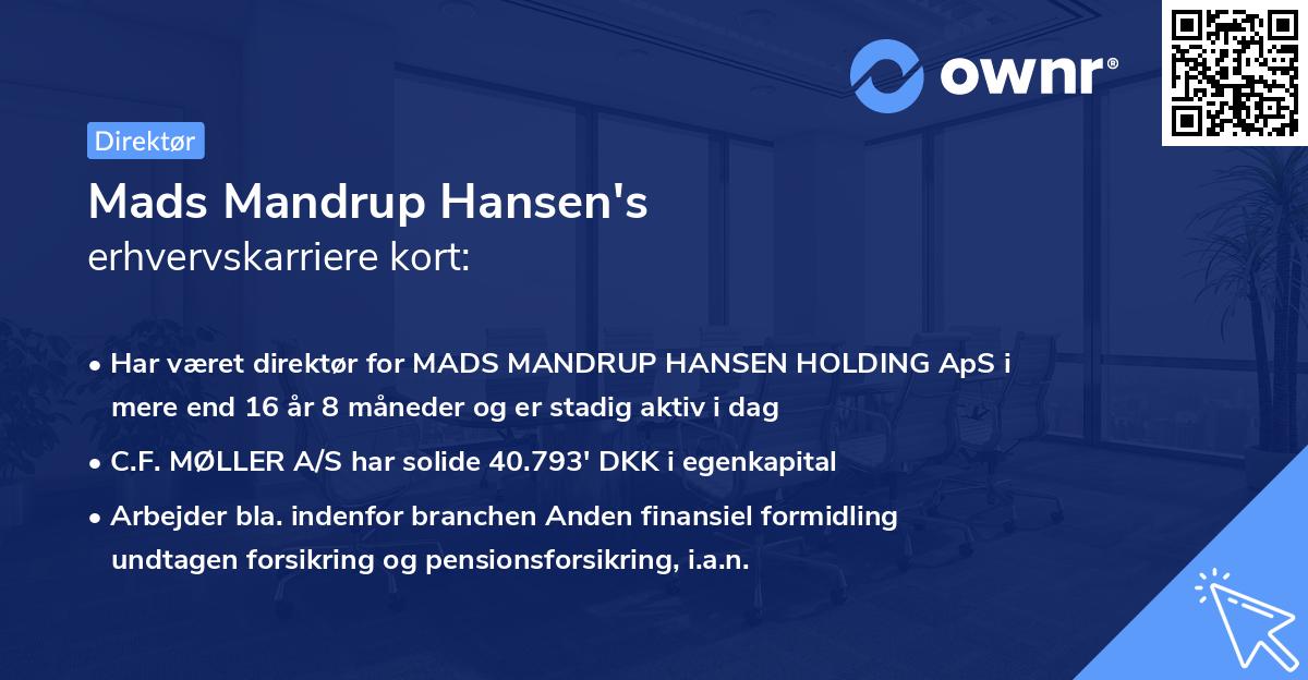 Mads Mandrup Hansen's erhvervskarriere kort