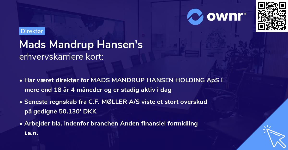Mads Mandrup Hansen's erhvervskarriere kort