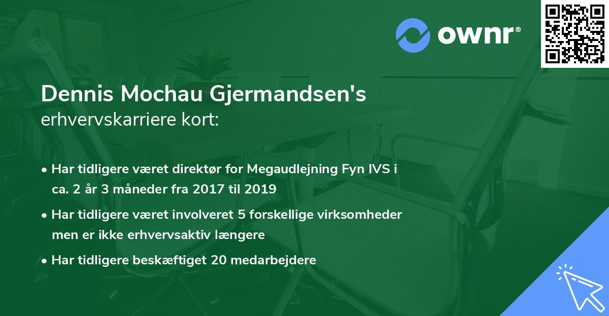 Dennis Mochau Gjermandsen's erhvervskarriere kort