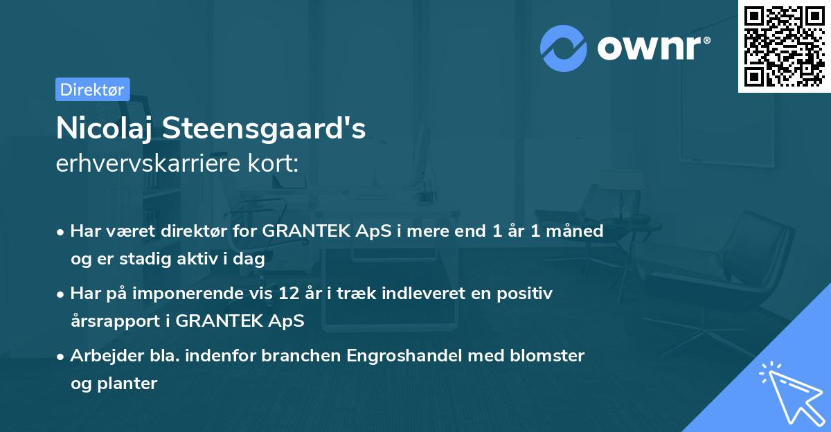 Nicolaj Steensgaard's erhvervskarriere kort
