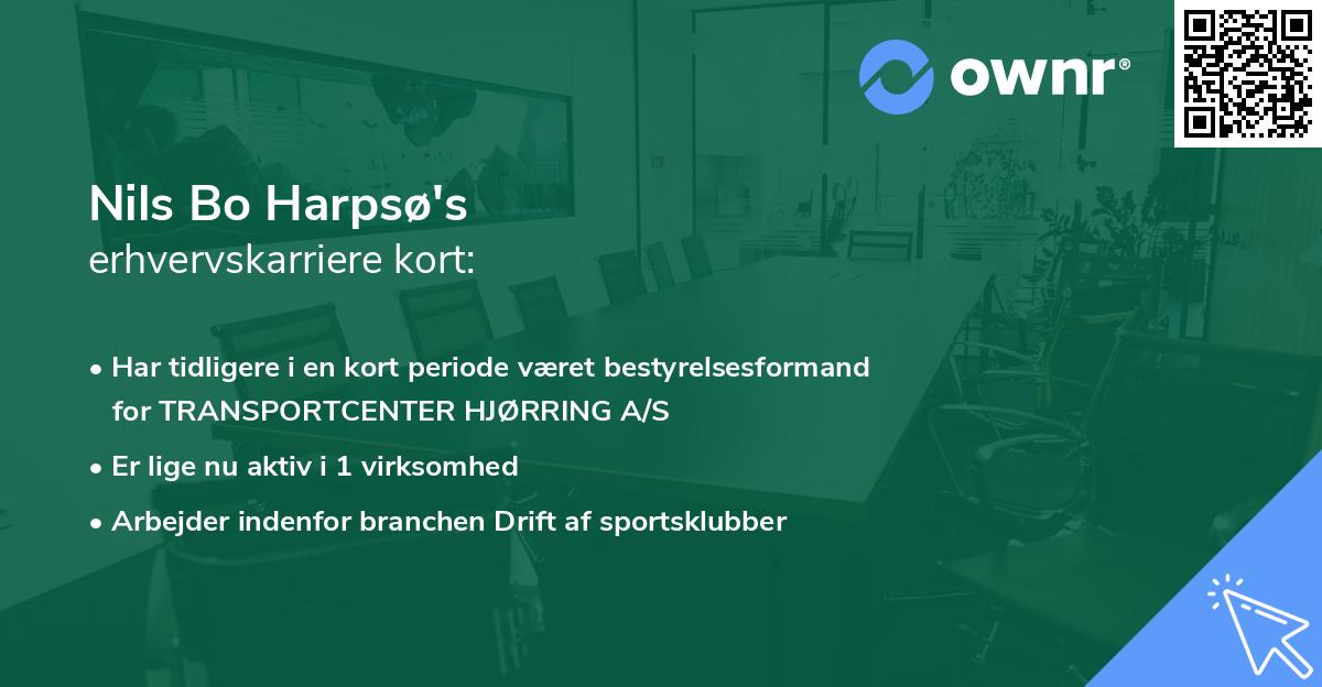 Nils Bo Harpsø's erhvervskarriere kort