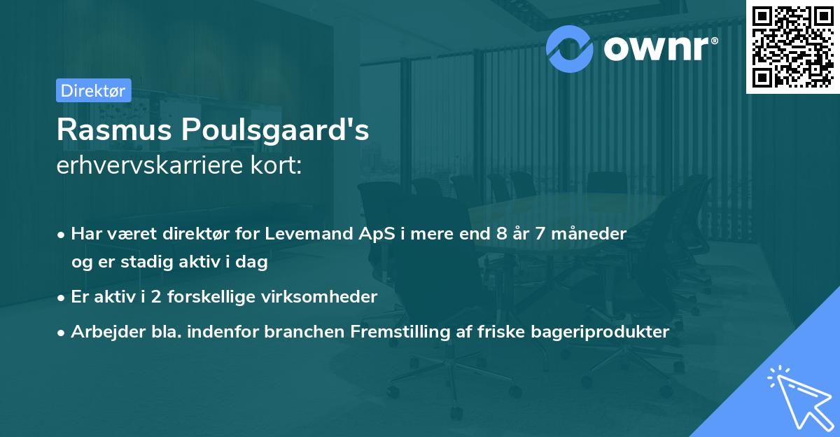 Rasmus Poulsgaard's erhvervskarriere kort