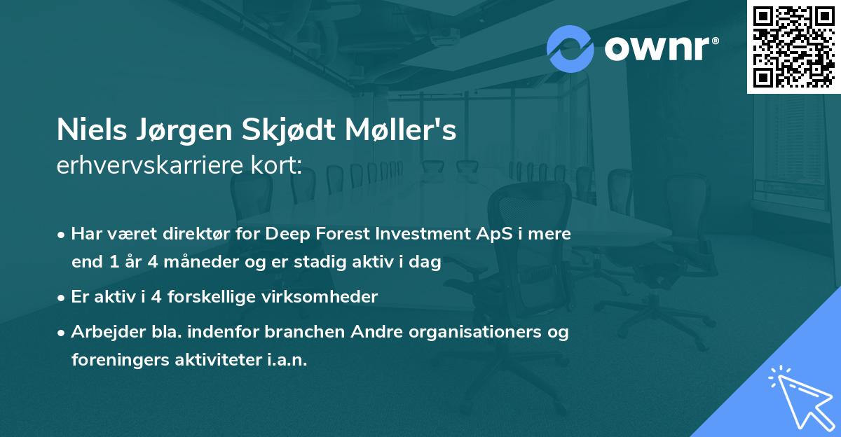 Niels Jørgen Skjødt Møller's erhvervskarriere kort