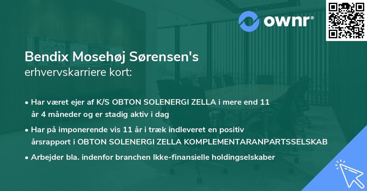Bendix Mosehøj Sørensen's erhvervskarriere kort