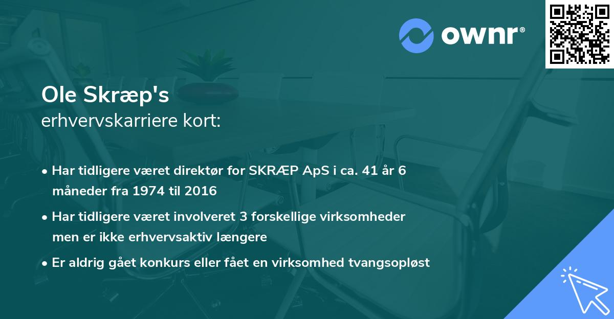 Ole Skræp's erhvervskarriere kort