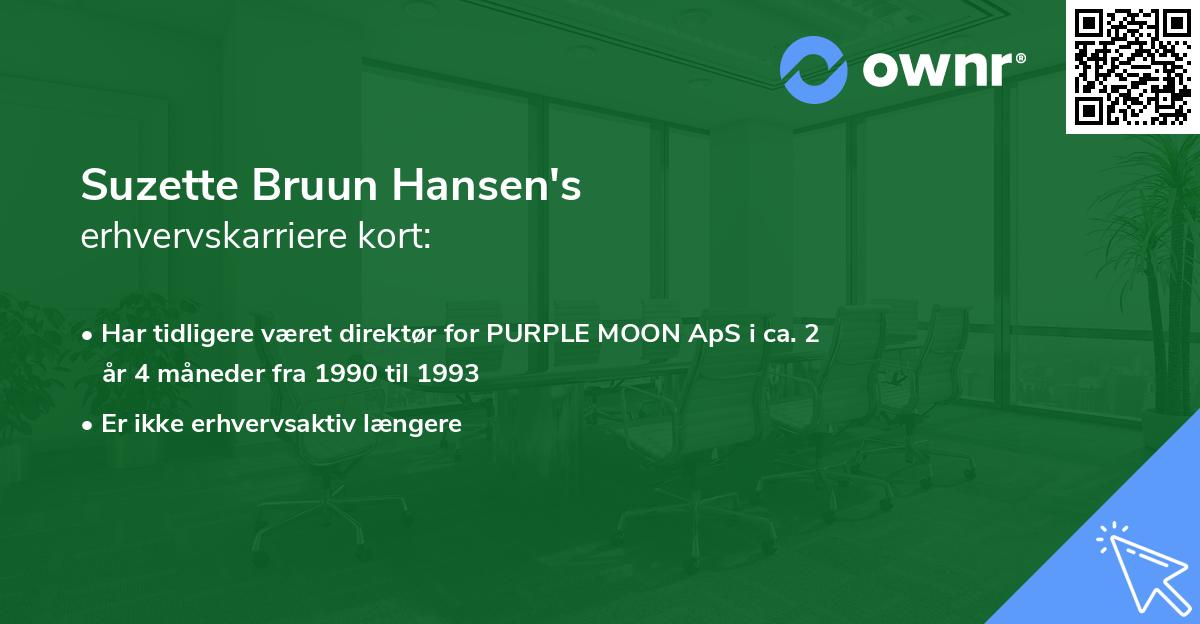 Suzette Bruun Hansen's erhvervskarriere kort