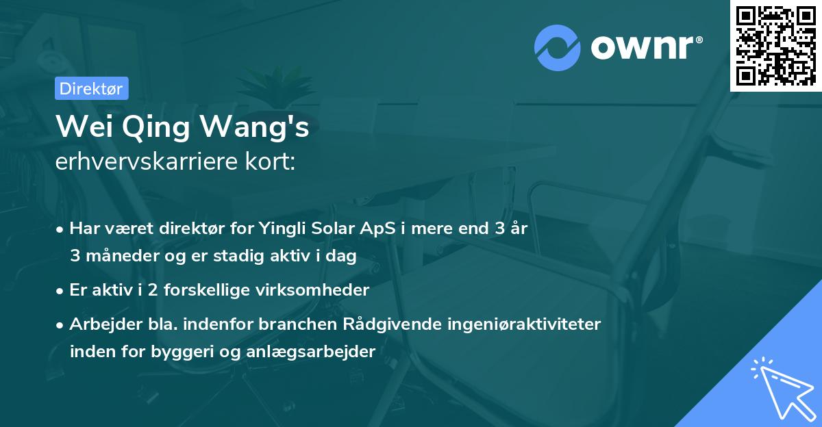 Wei Qing Wang's erhvervskarriere kort