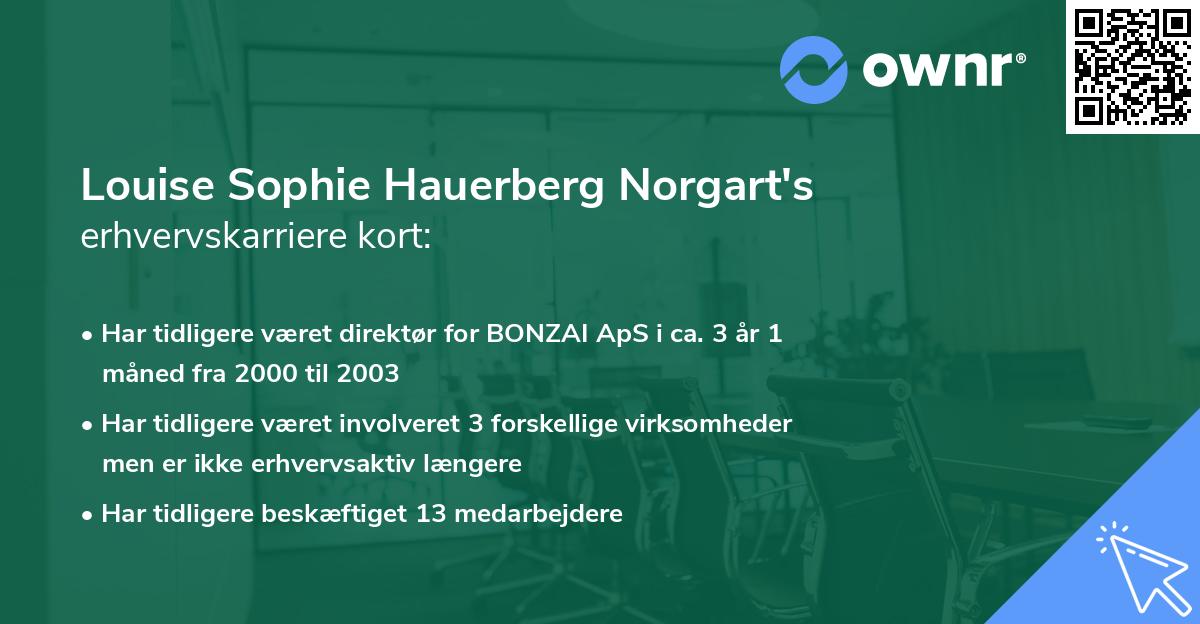 Louise Sophie Hauerberg Norgart's erhvervskarriere kort