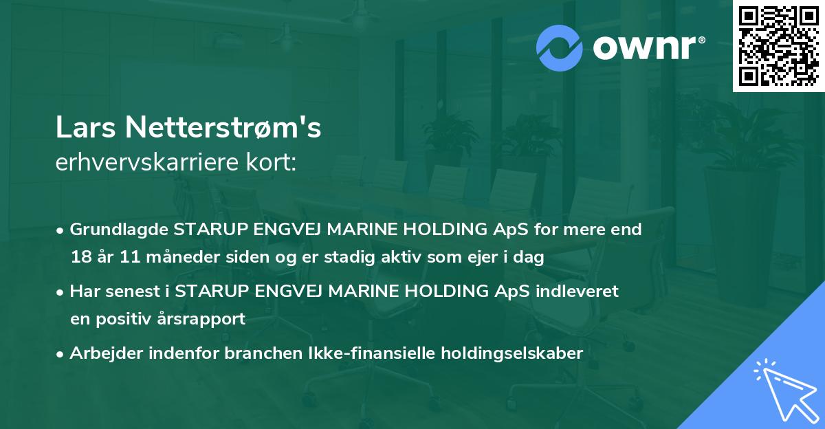 Lars Netterstrøm's erhvervskarriere kort